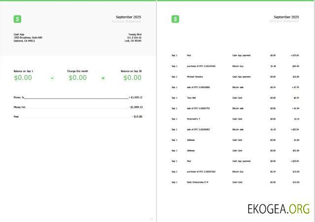 Modèle Word et PDF de relevé de compte USA Cash App, 2 pages